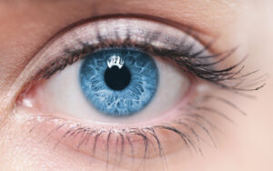 Blue Female Eye
